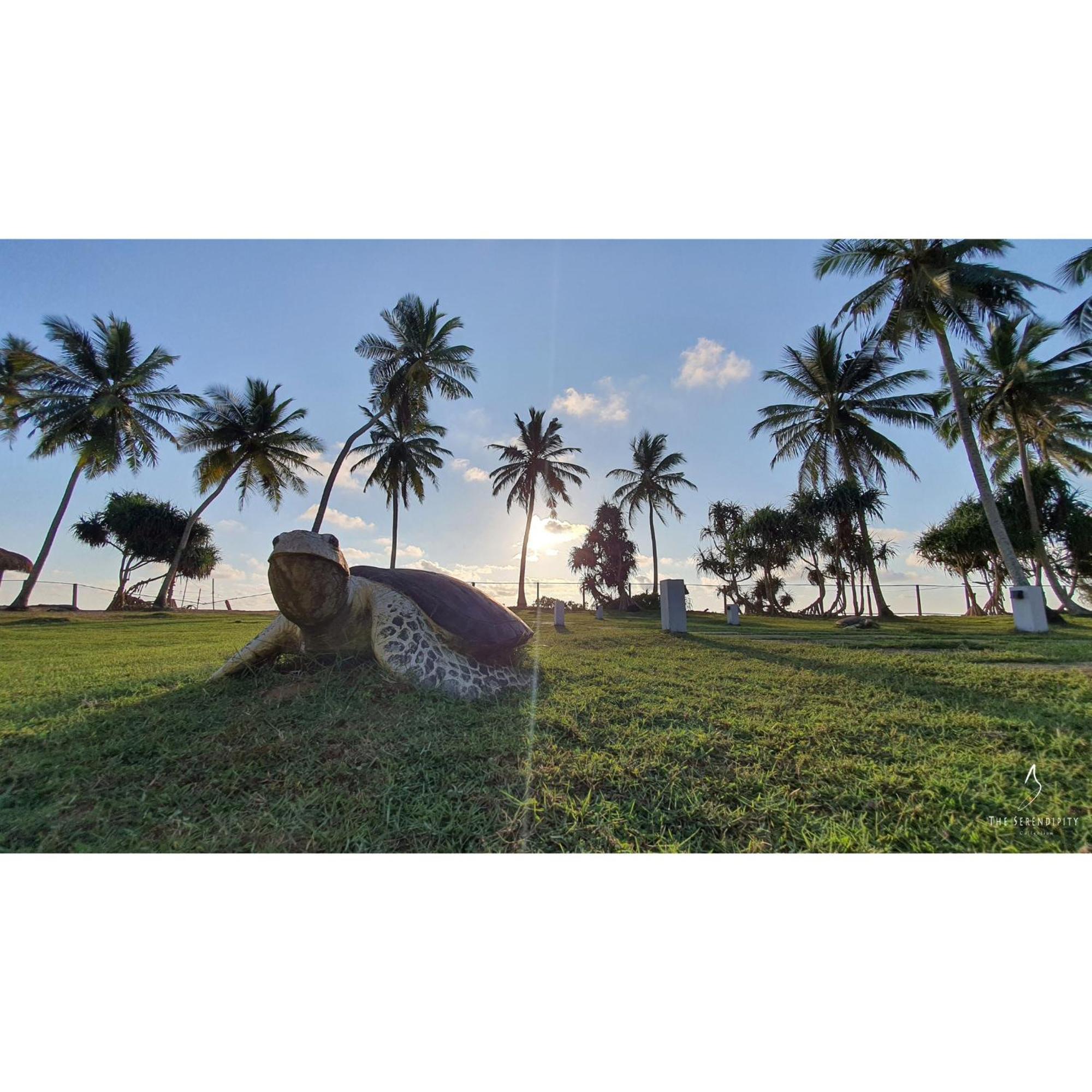 Green Turtle Villa Bentota Buitenkant foto