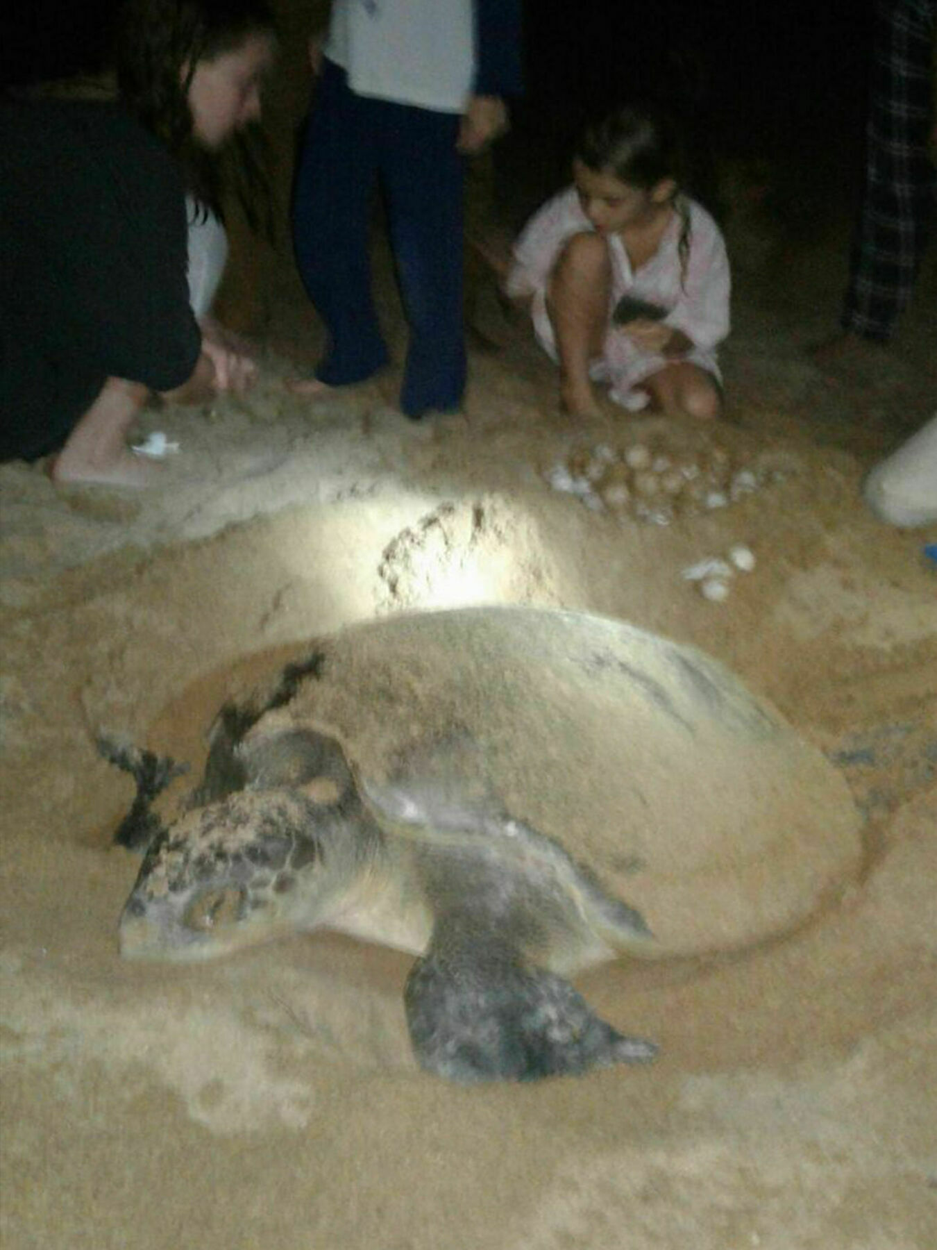 Green Turtle Villa Bentota Buitenkant foto